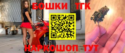 тгк Волгодонск