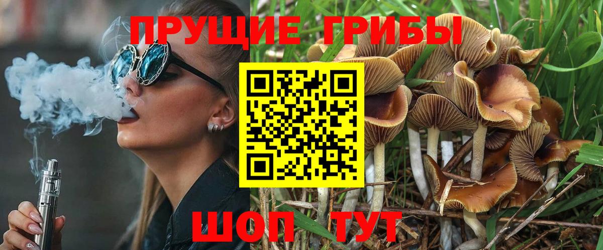 Галлюциногенные грибы GOLDEN TEACHER Гагарин