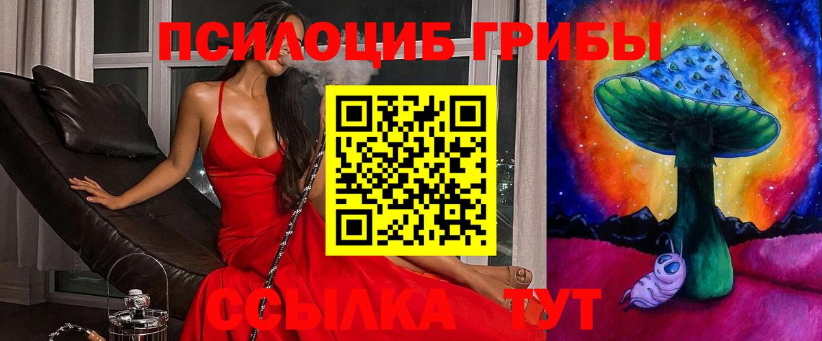 закладки  Галлюциногенные грибы ЛСД  Вход с VPN  Гагарин 